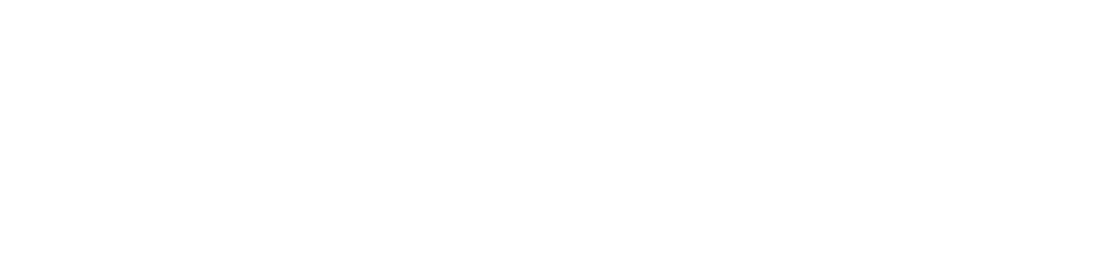 Dataroid logo